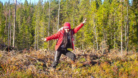 Nordic Discovery – Hiking in the Malingsbo-Kloten Nature Reserve in Sweden
